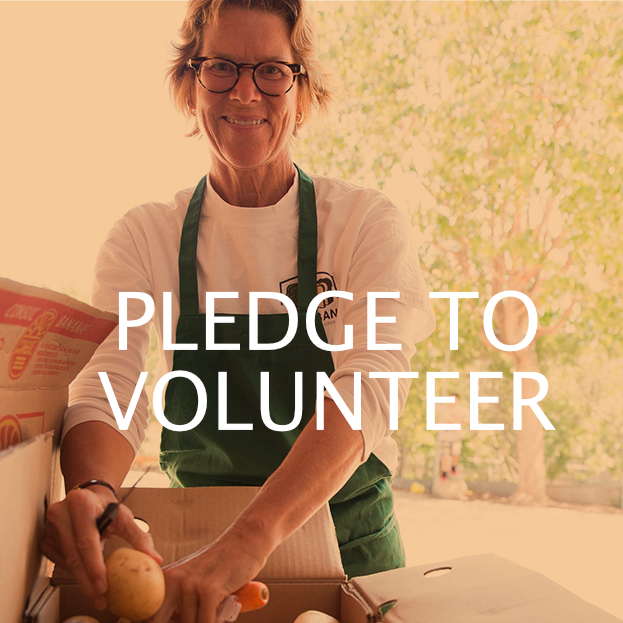 Pledge to Volunteer