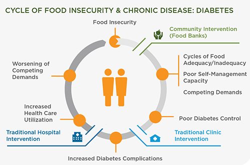 Cycle-food-insecurity-diabetes-500w
