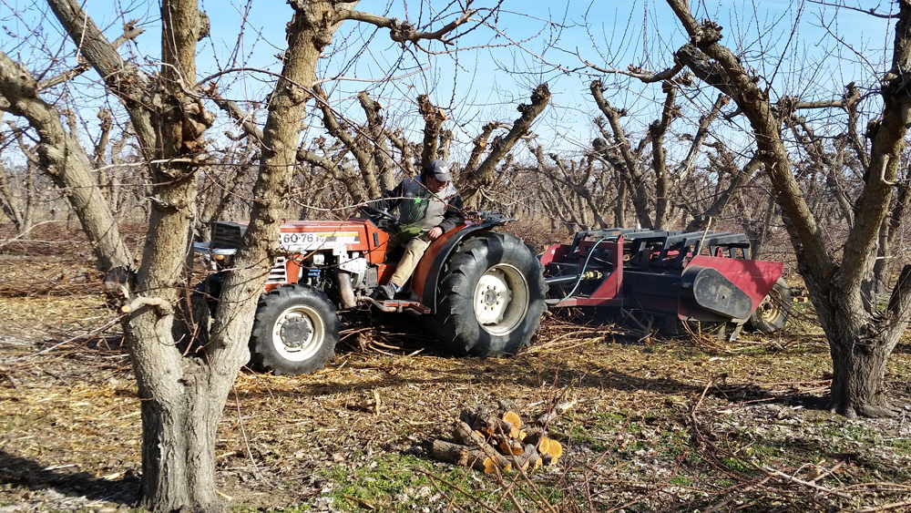 Harvest Report