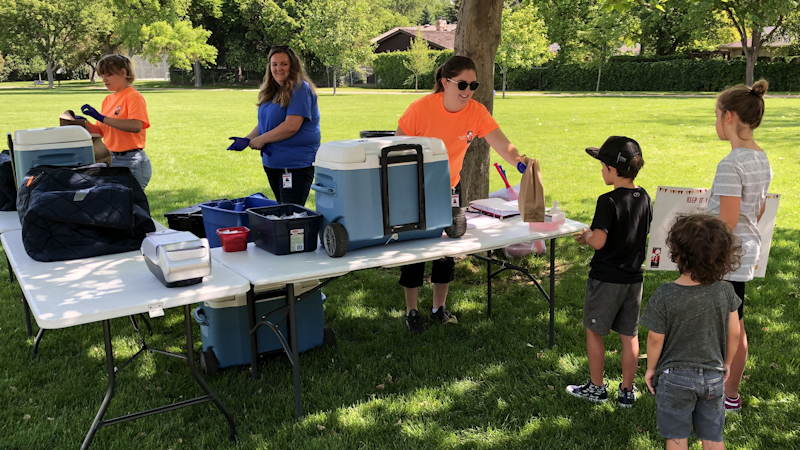 Picnic in the Park